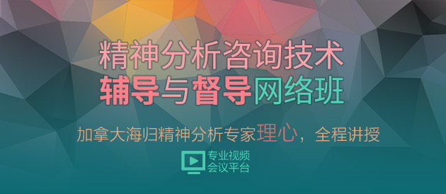 精神分析咨询技术辅导与督导网络班