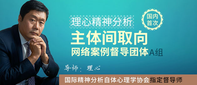 理心精神分析主体间取向网络案例督导团体A组