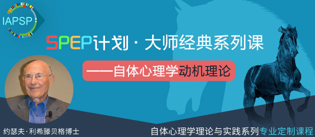 SPEP计划，大师经典系列课——自体心理学动机理论