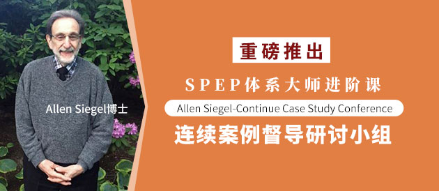 SPEP体系大师进阶课：Allen Siegel-Continue Case Study Conference|连续案例督导研讨小组