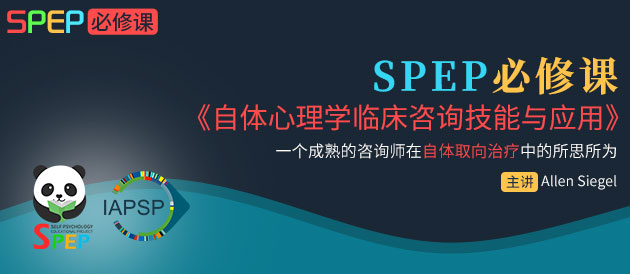 SPEP必修课 自体心理学临床咨询技能与应用 一个成熟的咨询师在自体取向治疗中的所思所为