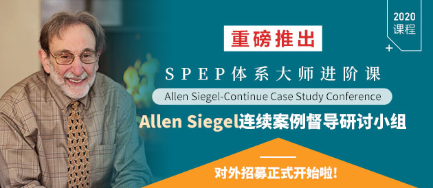 Allen Siegel连续案例督导研讨小组