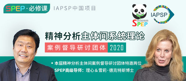 SPEP必修课|《精神分析主体间系统理论案例督导研讨团体-2020》招募